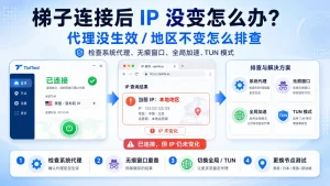 梯子连接后 IP 没变怎么办?2026最新代理节点没生效怎么排查